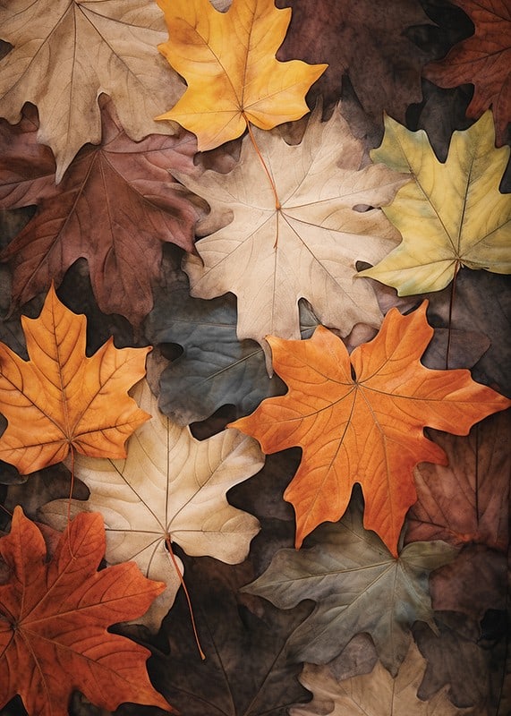 Photographic maple leaves in warm shades of orange, yellow and brown-12