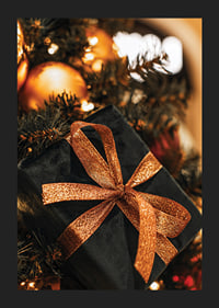 Close-up of black Christmas present with glittery ribbon among the branches of the fir tree-5