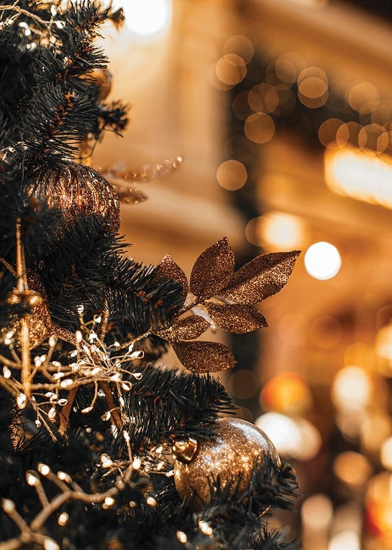 Close-up of fir tree with golden decorations and warm lights-12