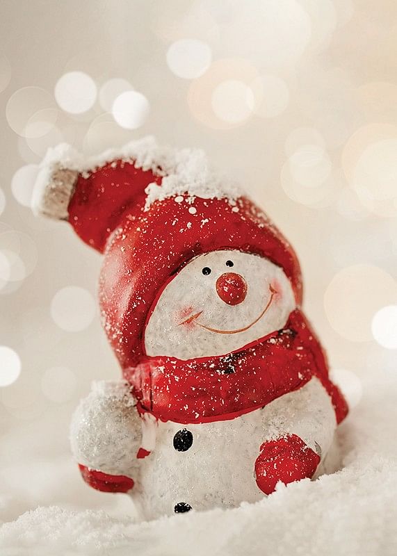 Snowman Decoration-12