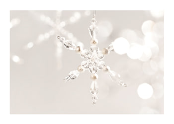 Poster Snowflake Decoration