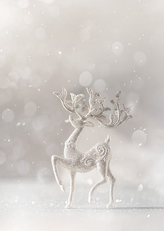 Winter Deer Decoration-12