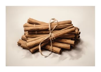 Plakat Cinnamon Sticks No2