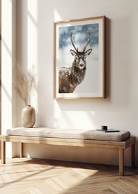 Photograph of roe deer with snow on its fur against a white winter background-8