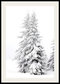 Fotografický detailný záber dvoch zasnežených jedlí v zimnej krajine-2