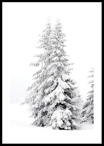 Poster Snow Covered Pine Trees
