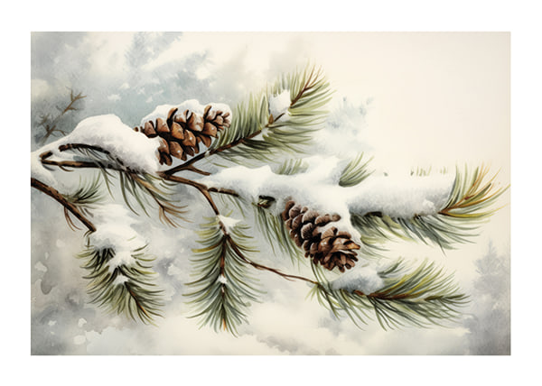 Plakāts Snow Covered Pine Cones