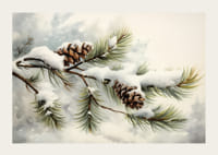 Akvarell fenyőtobozokról és tűlevelű ágakról hóval-3