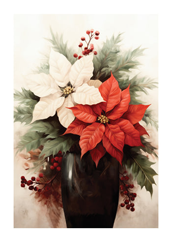 Poster Poinsettia Flowers