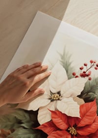 Watercolor of red and white poinsettias in dark vase-9