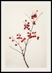 Branch with red berries against light beige background, photographic-2
