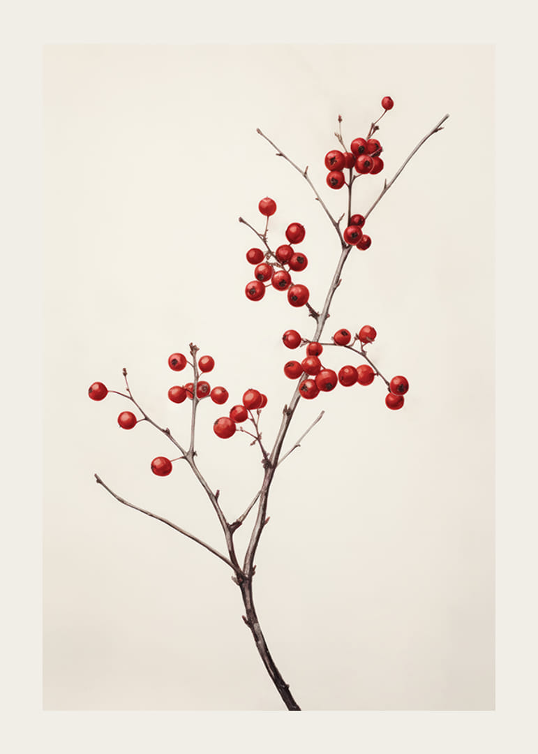 Branch with red berries against light beige background, photographic-12