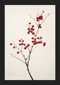 Branch with red berries against light beige background, photographic-5