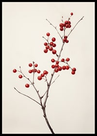 Branch with red berries against light beige background, photographic-6