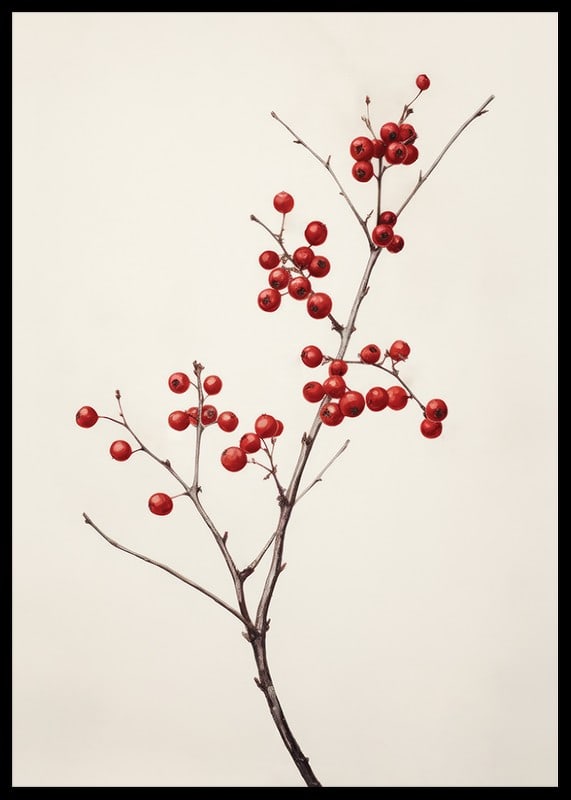 Branch with red berries against light beige background, photographic-12
