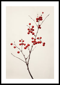 Branch with red berries against light beige background, photographic-0