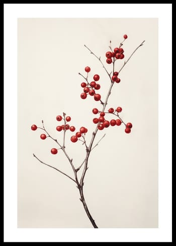 Poster Branch And Red Berries