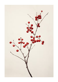 Branch with red berries against light beige background, photographic-1