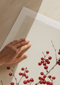 Branch with red berries against light beige background, photographic-9