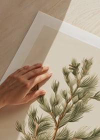 Illustrerad grön tallkvist mot ljus beige bakgrund-9
