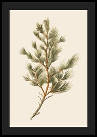 Ilustrovaná zelená borovicová vetva na svetlobéžovom pozadí-4