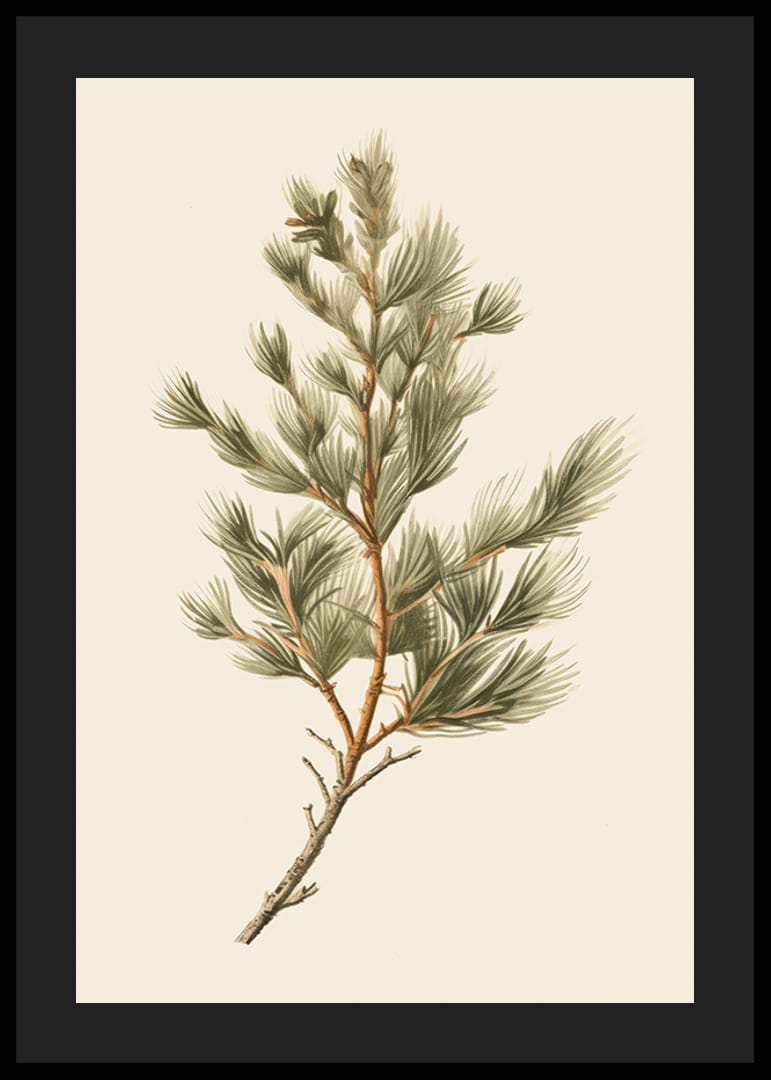 Ilustrovaná zelená borovicová vetva na svetlobéžovom pozadí-12