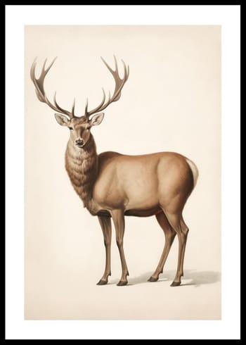 Poster Brown Deer