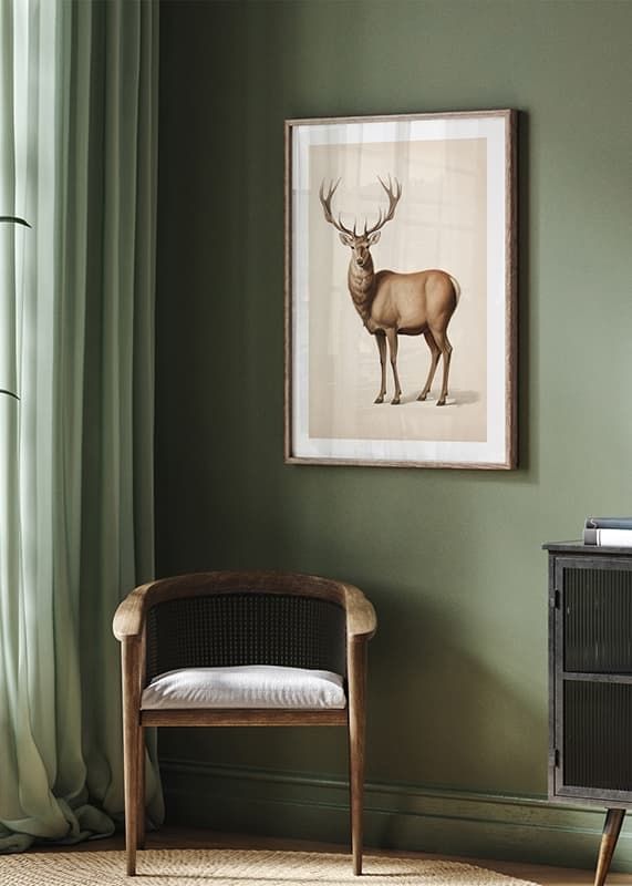 Brown Deer-12
