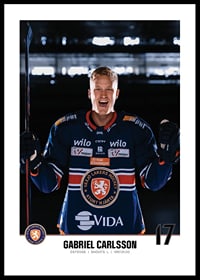 Gabriel Carlsson #17 Växjö Lakers 2023/2024-0
