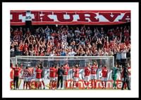 Rödvita Hjältar No2-0