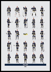 Hv71 Team 2023/2024-2