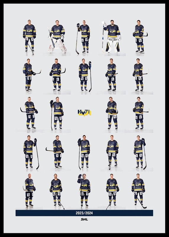 Hv71 Team 2023/2024-12