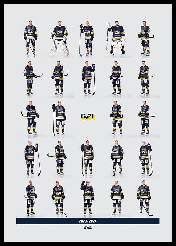 Hv71 Team 2023/2024-12