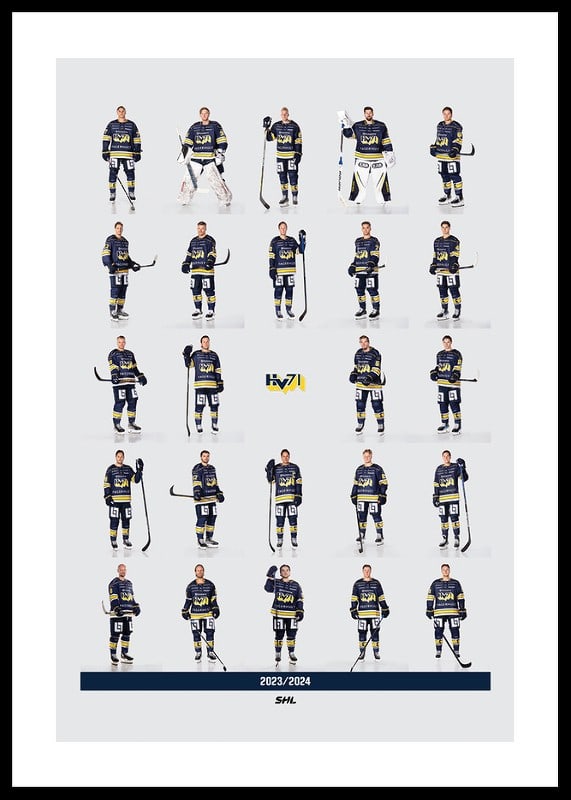 Hv71 Team 2023/2024-12