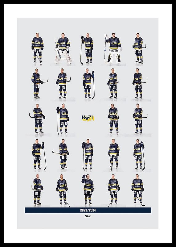 Hv71 Team 2023/2024-12