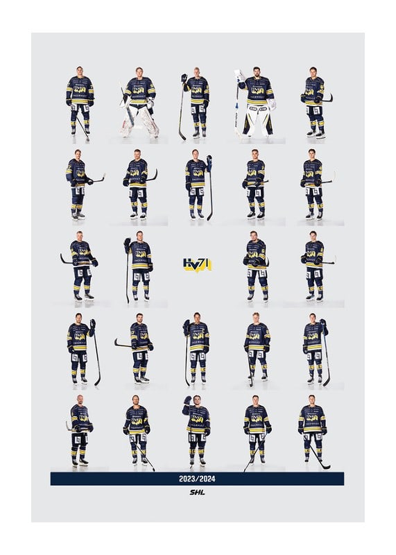 Hv71 Team 2023/2024-12