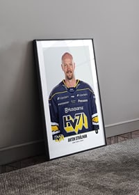 Anton Strålman #6 HV71 2023/2024-4