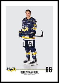 Olle Strandell #66 HV71 2023/2024-0