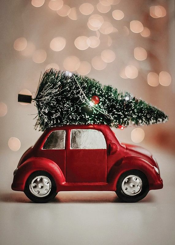 Christmas tree for the car discount