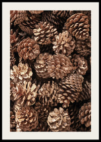 Primo piano di pigne marroni in luce soffusa, fotografico-2