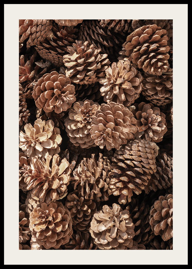 Primo piano di pigne marroni in luce soffusa, fotografico-12
