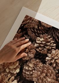 Fir Cones Close Up-5