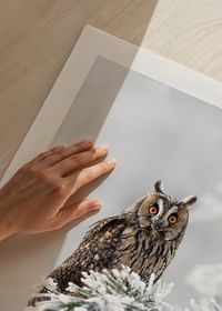 Owl On Snow Branch-5
