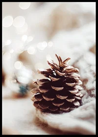 Close-up of pine cone on soft surface with blurred light background-6