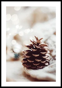 Close-up of pine cone on soft surface with blurred light background-0