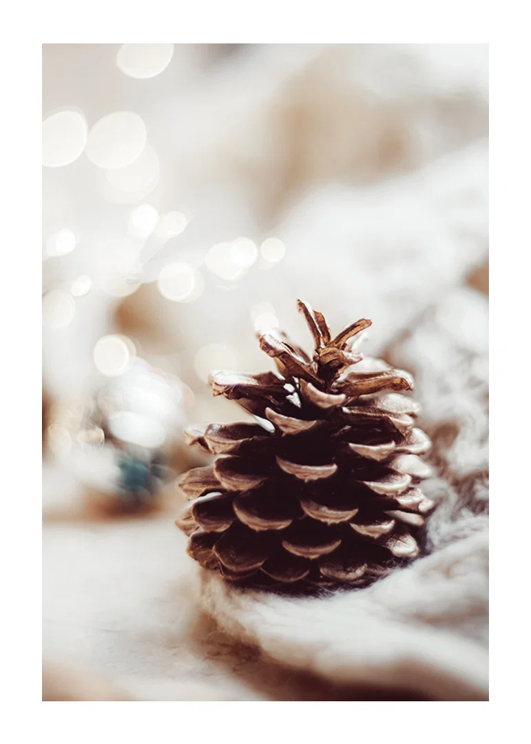 Close-up of pine cone on soft surface with blurred light background-12