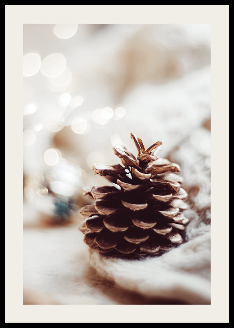 Detailný záber na borovicovú šišku na mäkkom povrchu s rozmazaným svetlým pozadím-12