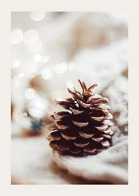 Close-up of pine cone on soft surface with blurred light background-3