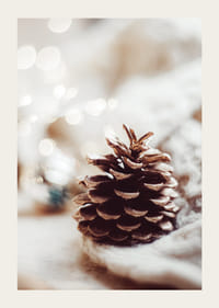 Detailný záber na borovicovú šišku na mäkkom povrchu s rozmazaným svetlým pozadím-3