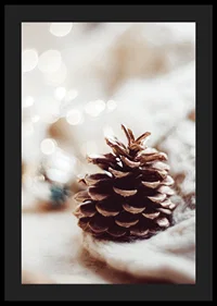 Close-up of pine cone on soft surface with blurred light background-4